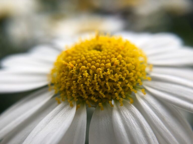 Glücksmomente im September