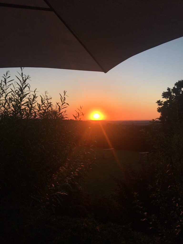 Mein Jahresrückblick - 2020