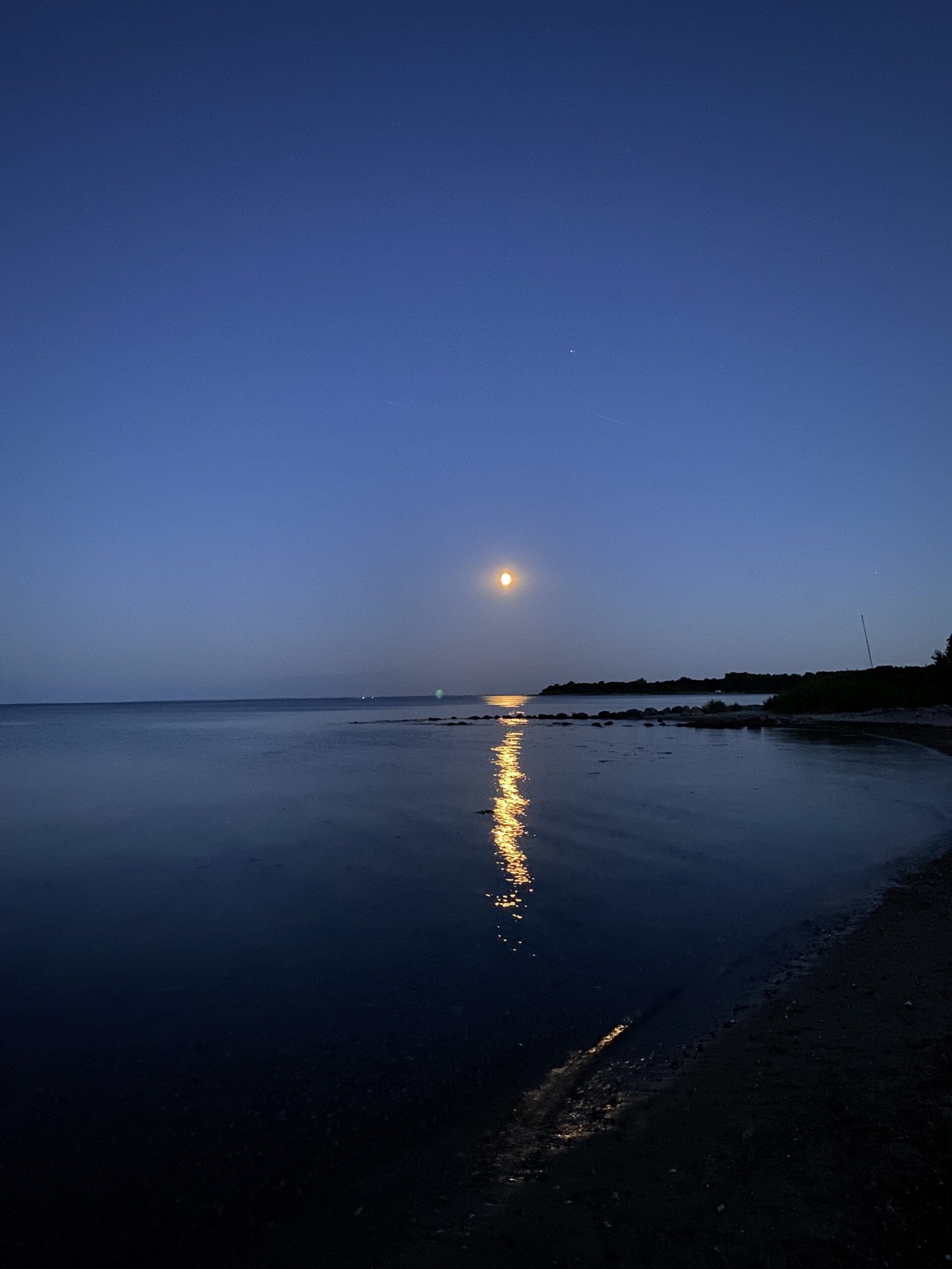 Abschied und das Leben feiern.
